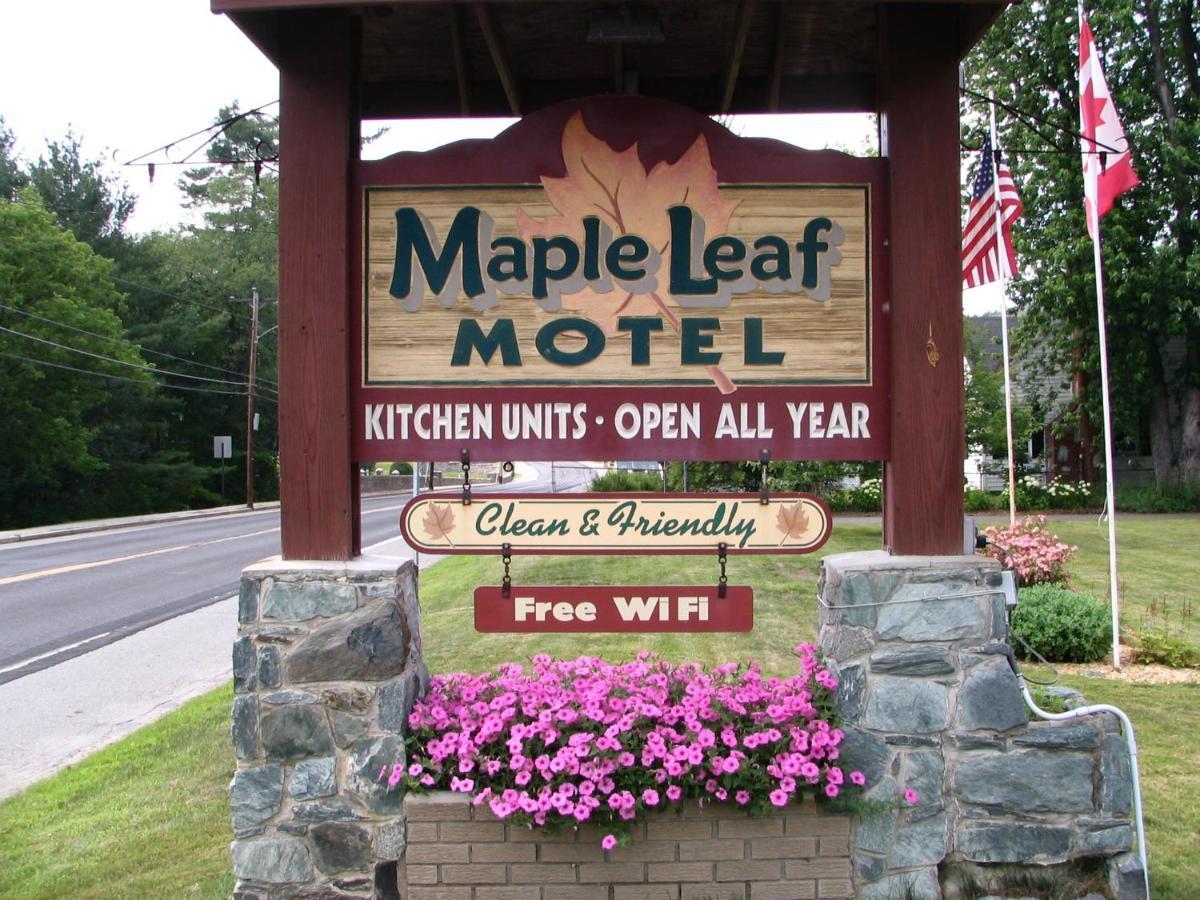 Maple Leaf Motel Литлтон Экстерьер фото